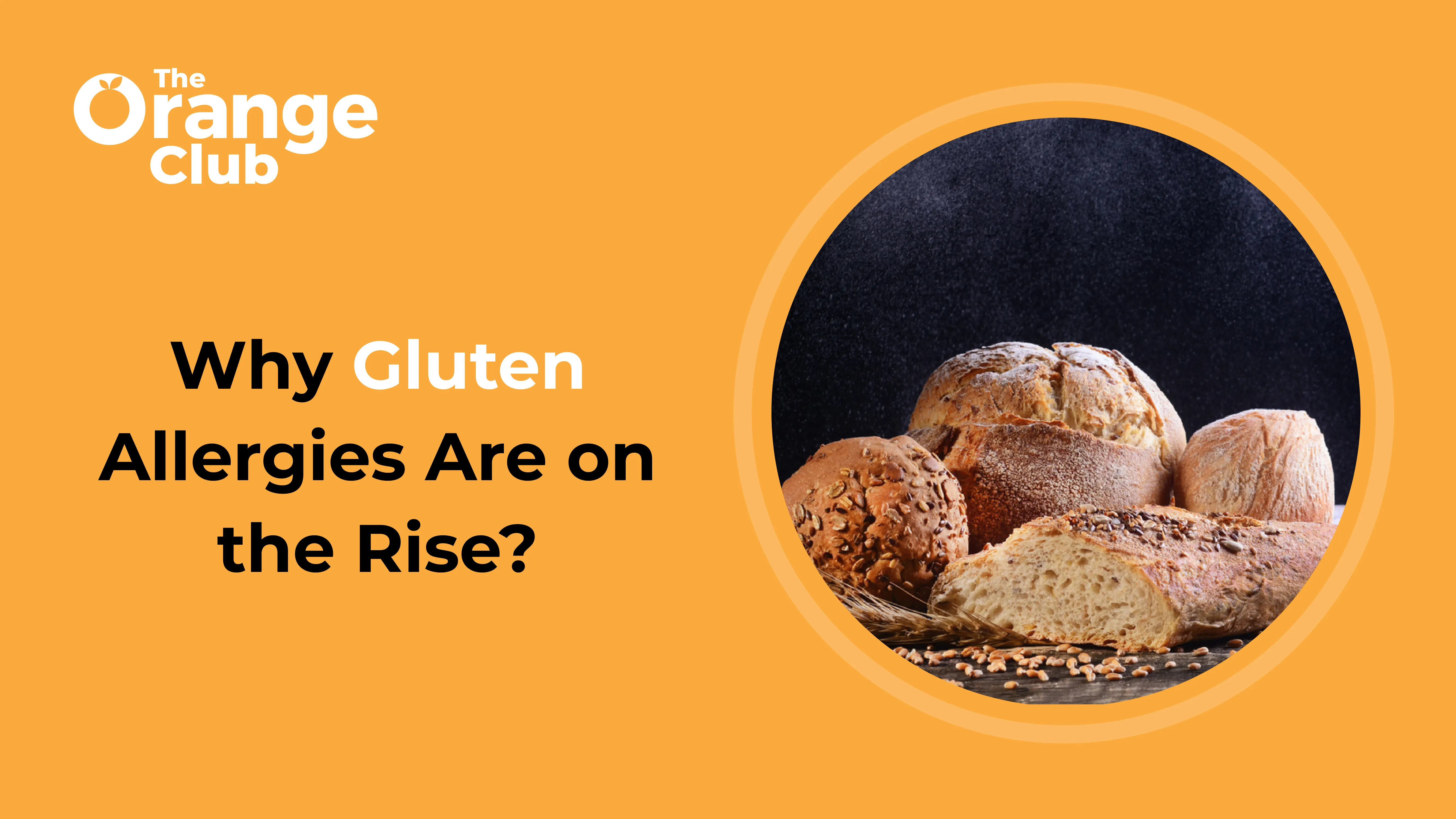 Why Gluten Allergies Are on the Rise?